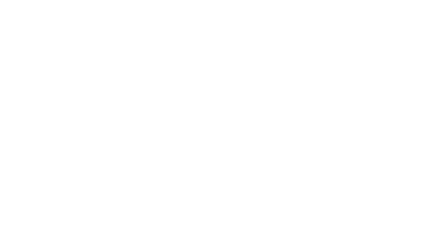 Chroniclefields